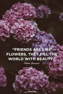 Friendship quote