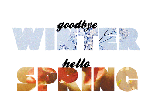 Spring has sprung 🌱🌺🌿🌼