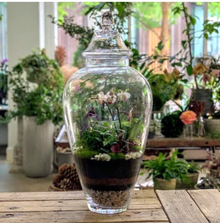 Tall glass jar with lid terrarium