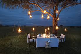 Outdoor dining table under tree with lanterns